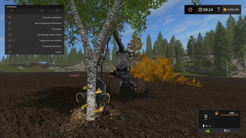 Little birch [MP] 2