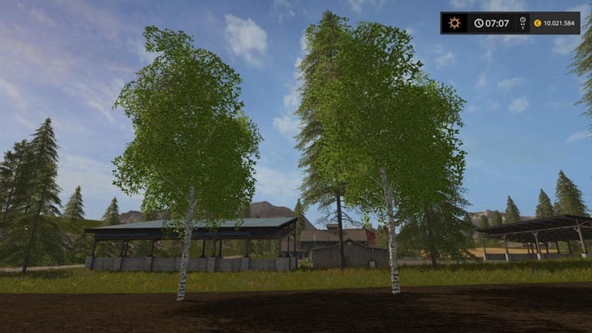 Little birch [MP]