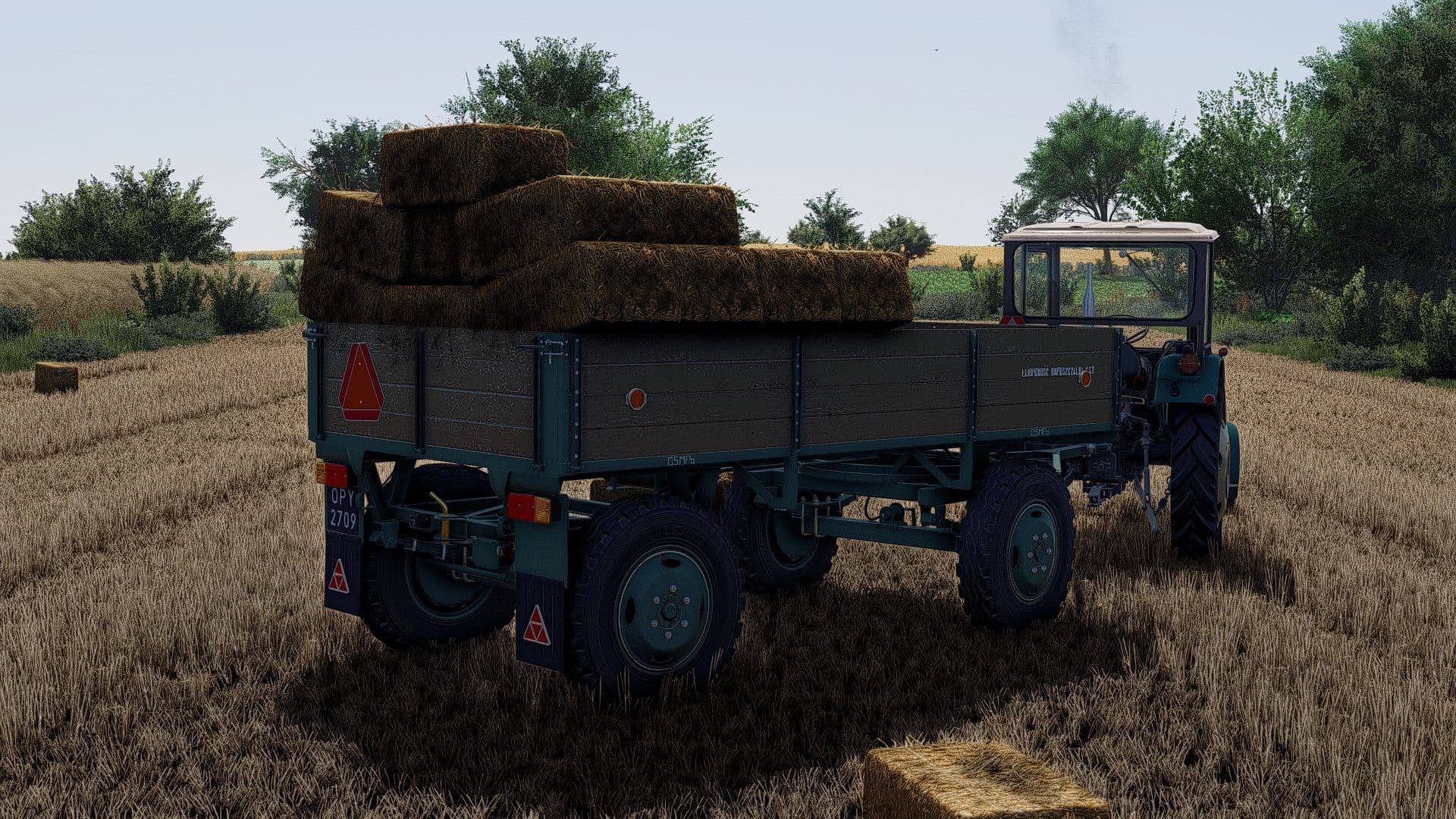 Lizard D44 2