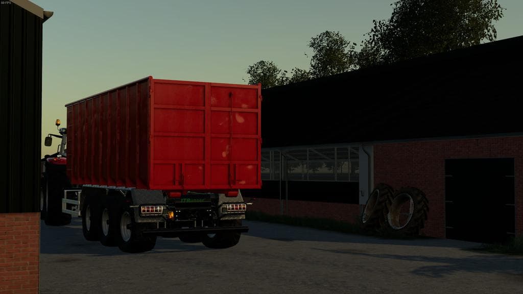 Lizard Container 5