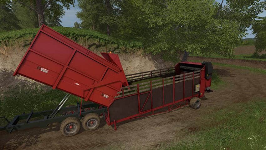 Lizard FDT 8m 3