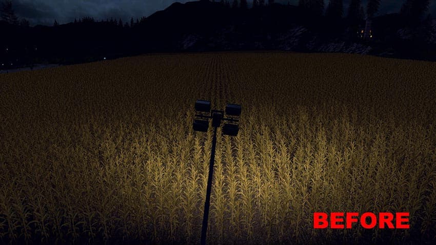 Lizard Flood Lights DBP Edit 2