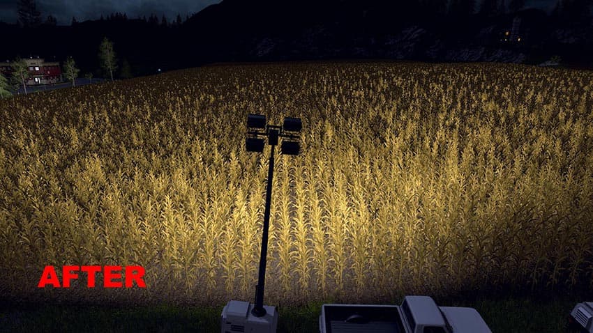 Lizard Flood Lights DBP Edit