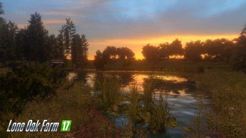 Lone Oak Farm 3