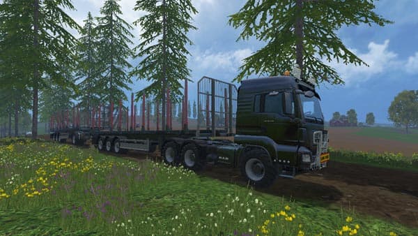 MAN Double Log Train [SP]