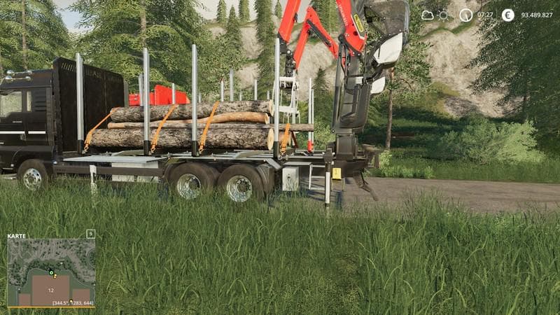 FORST LKW MP