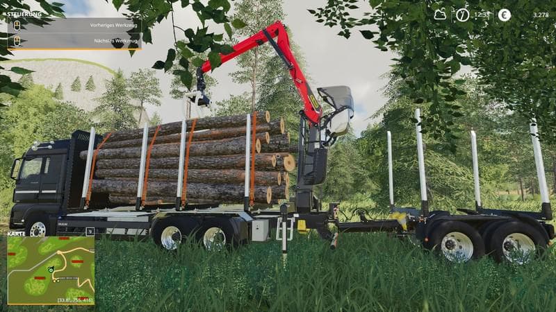 MAN HolzLkw 3