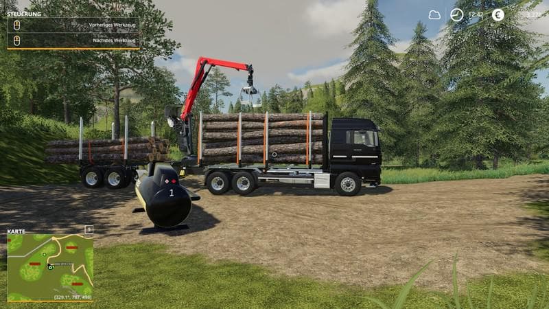 MAN HolzLkw