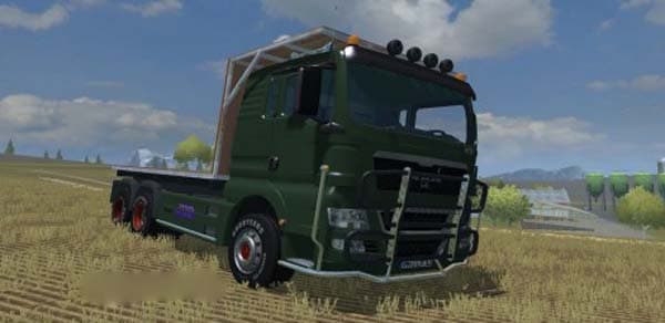 MAN TGX 2
