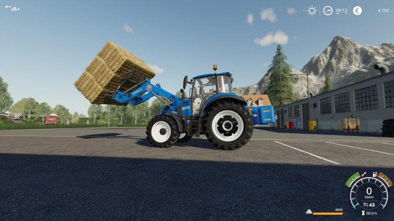 Magsi Ballengabel gross 2