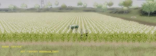 Mais Textur [SP]