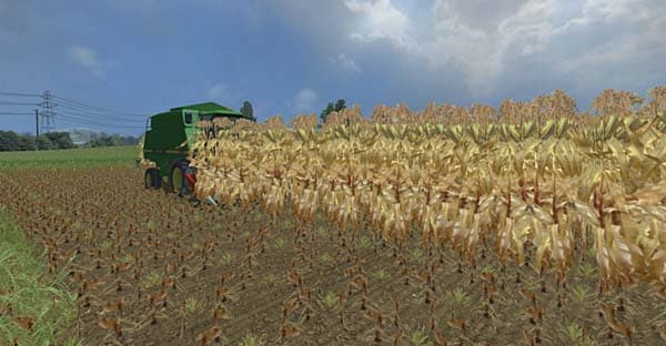 Maize gold [SP] 2