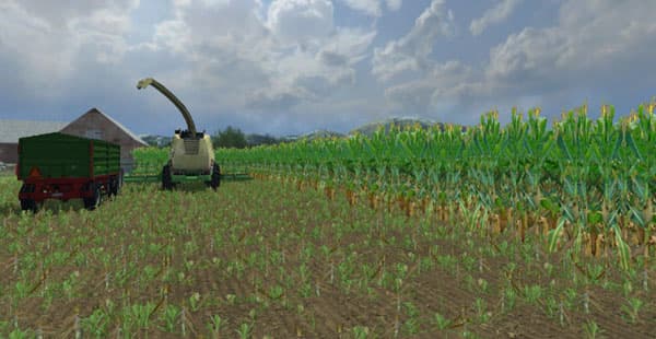 Maize texture [SP]