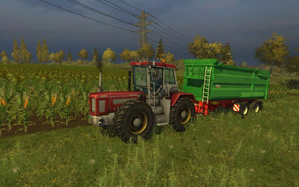 Maize texture [SP]