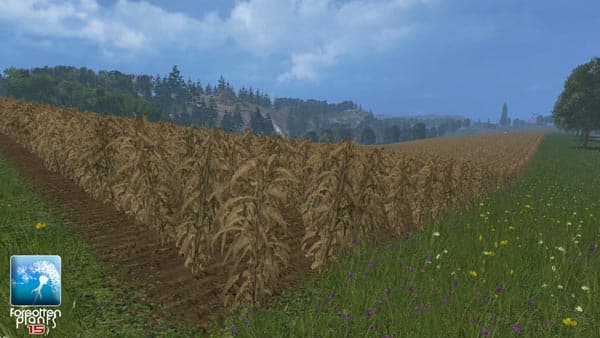 Maize [SP] 2