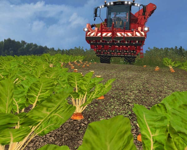 Mangold Beet Texture Pack [SP] 3