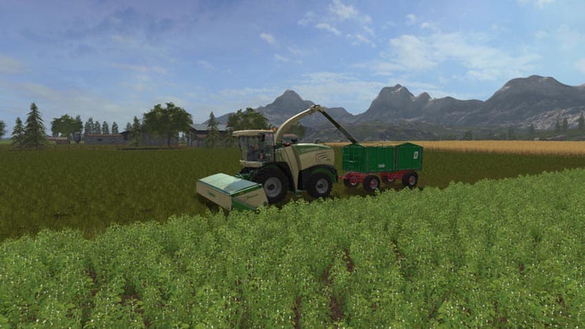 Maple Creek [MP] 4