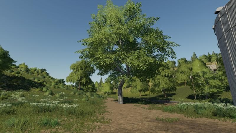 Maple placeable 3