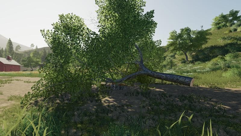 Maple placeable 2