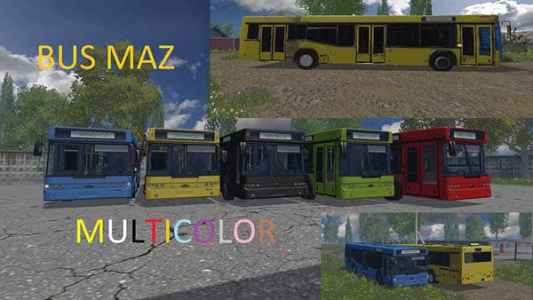 Maz bus Multicolor [MP]