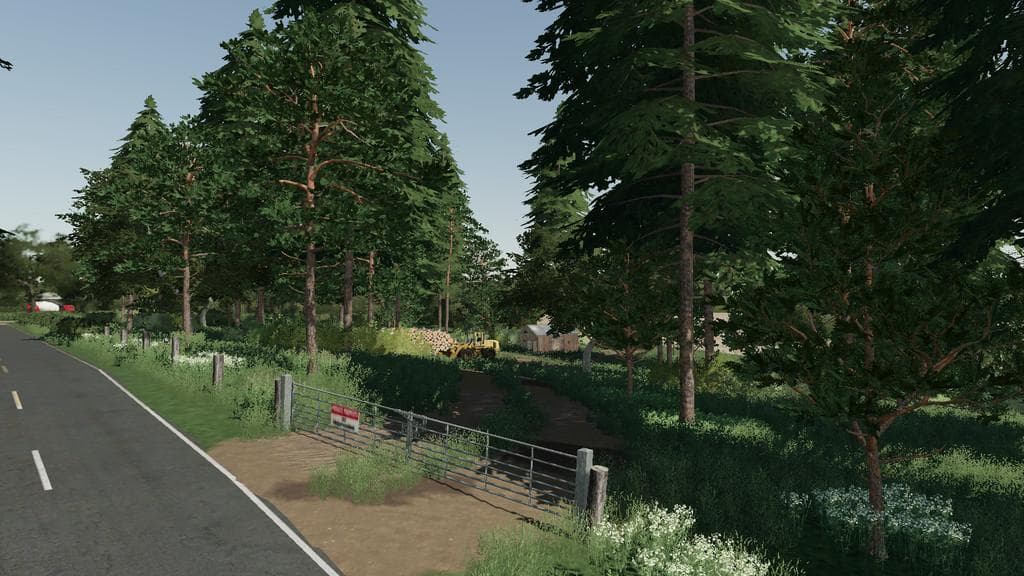Meadow Grove 2