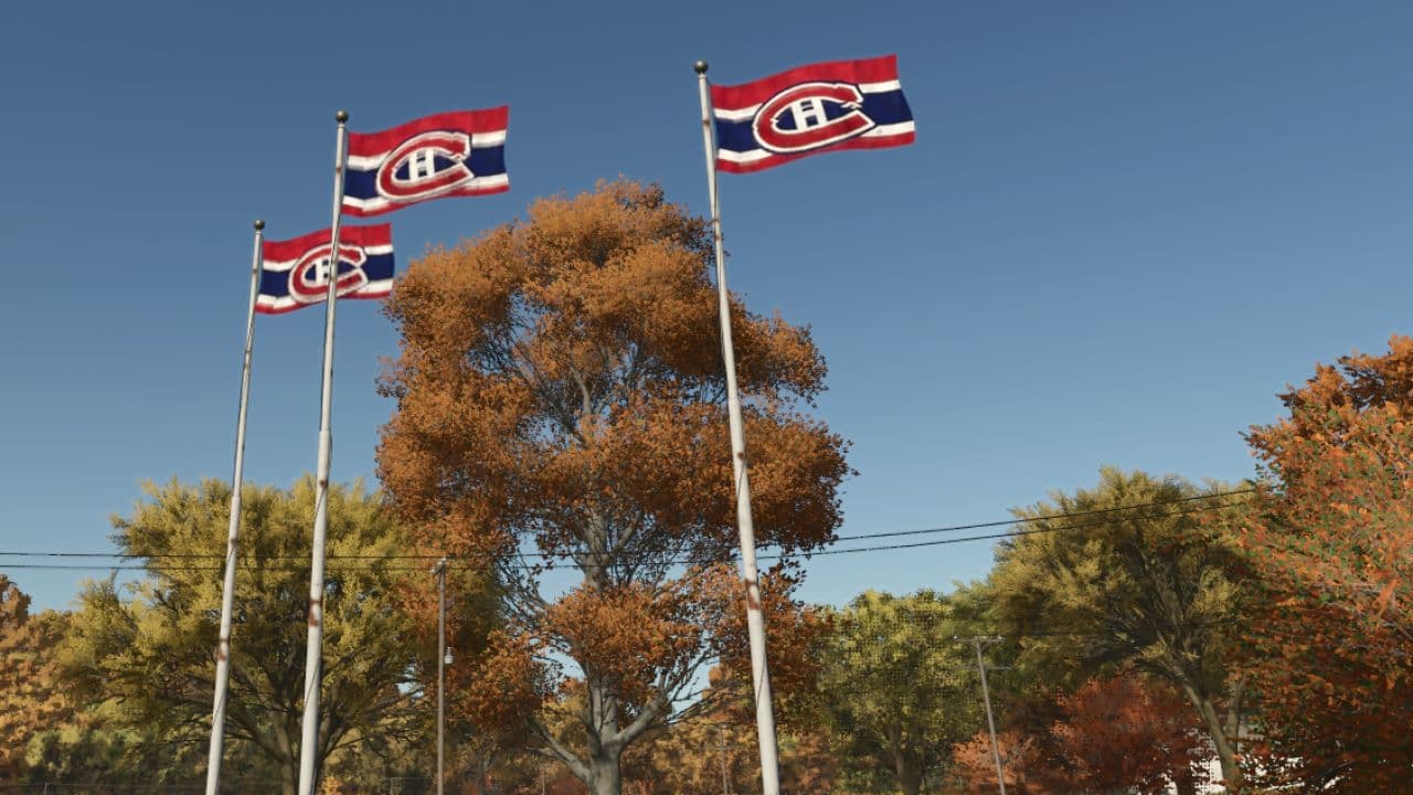 Montreal Canadian Hockey flag 3