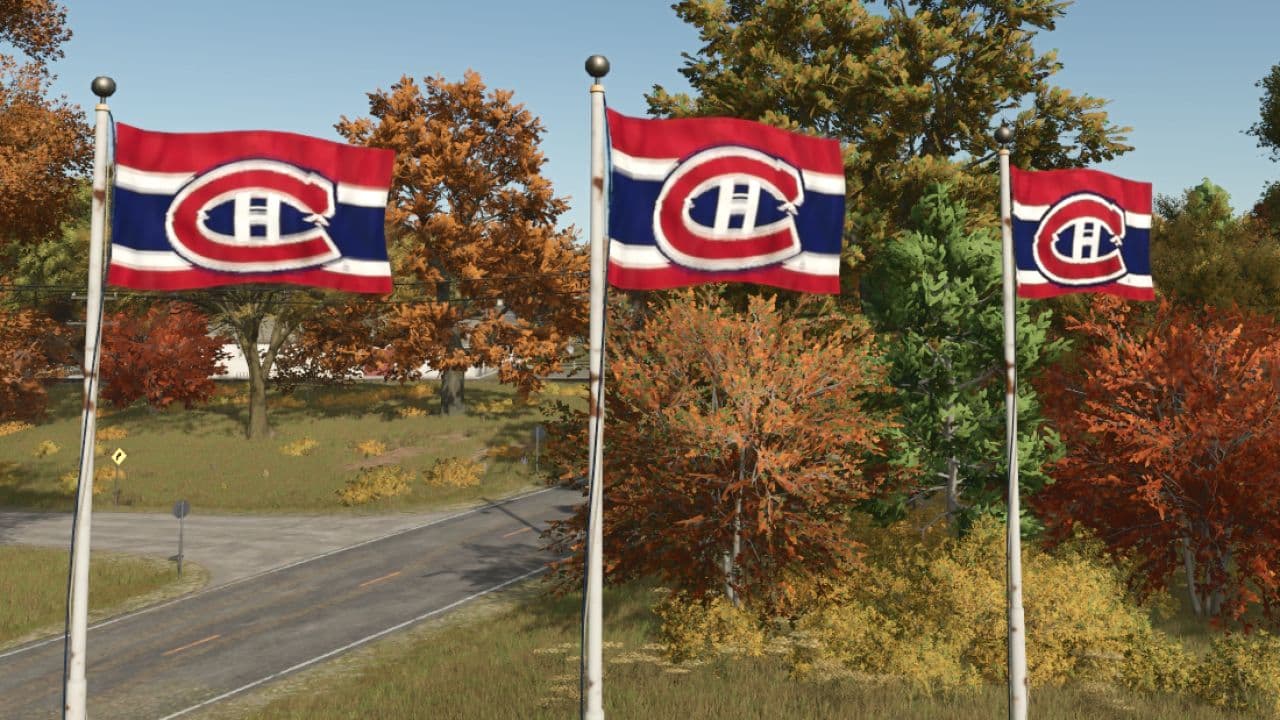 Montreal Canadian Hockey flag 2