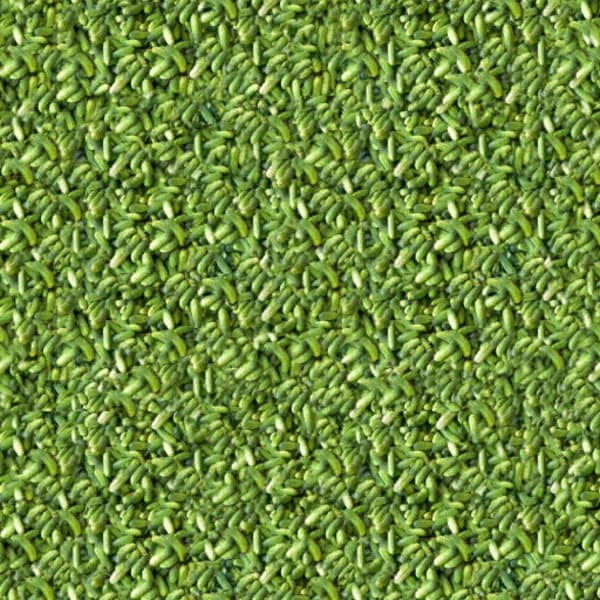 Multi Fruit textures [SP]