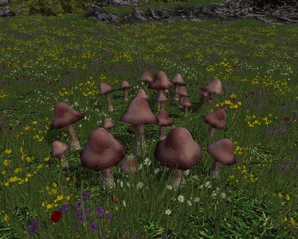 Mushrooms [SP] 2