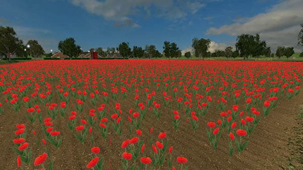 Nederland [SP] 4