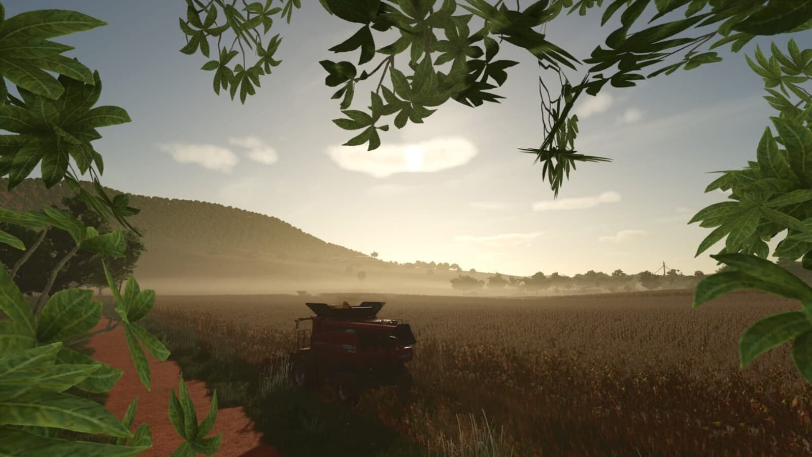 New Gloria Farm 5