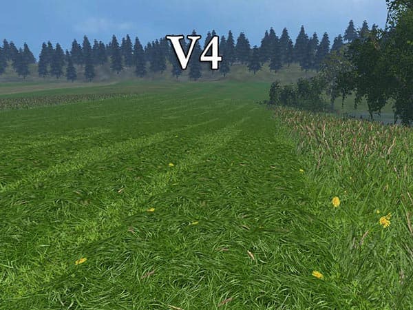 New grass texture