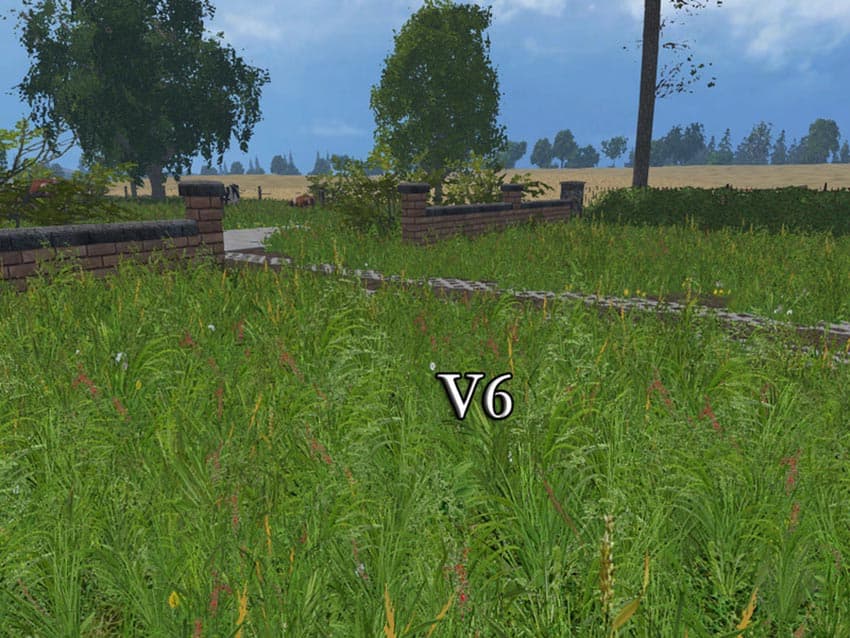 New grass texture [SP] 4