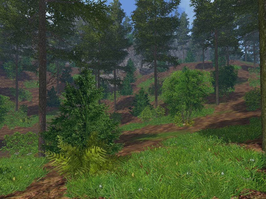 New texture [SP] 2
