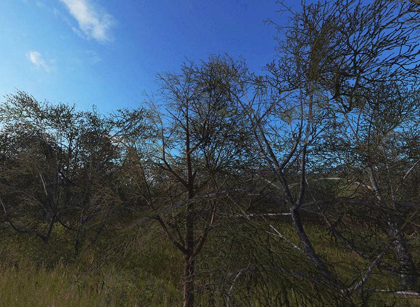New winter tree textures 2