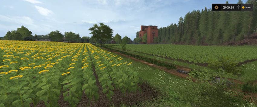 Nicolonia [MP] 4
