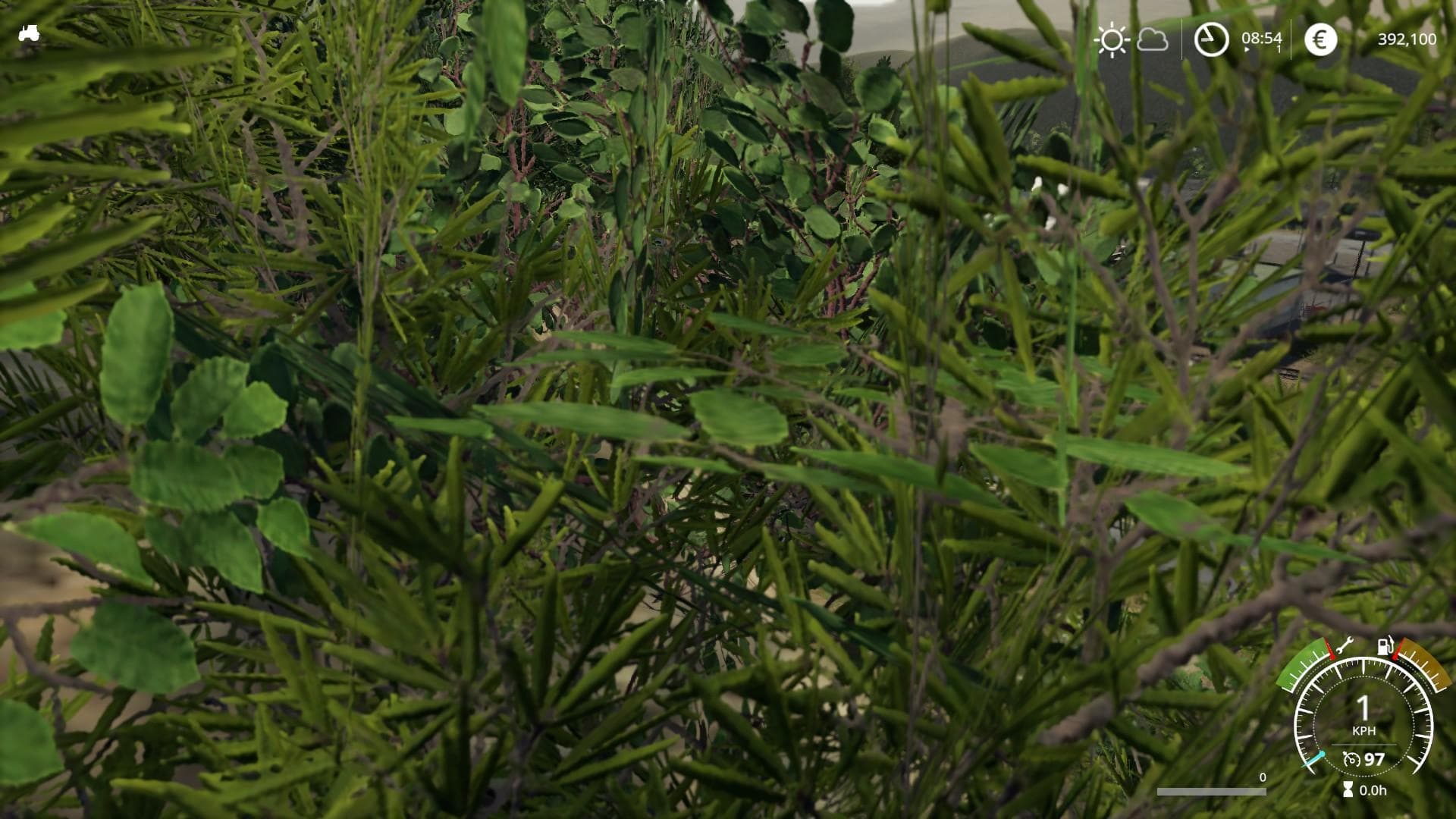 No Crosshair
