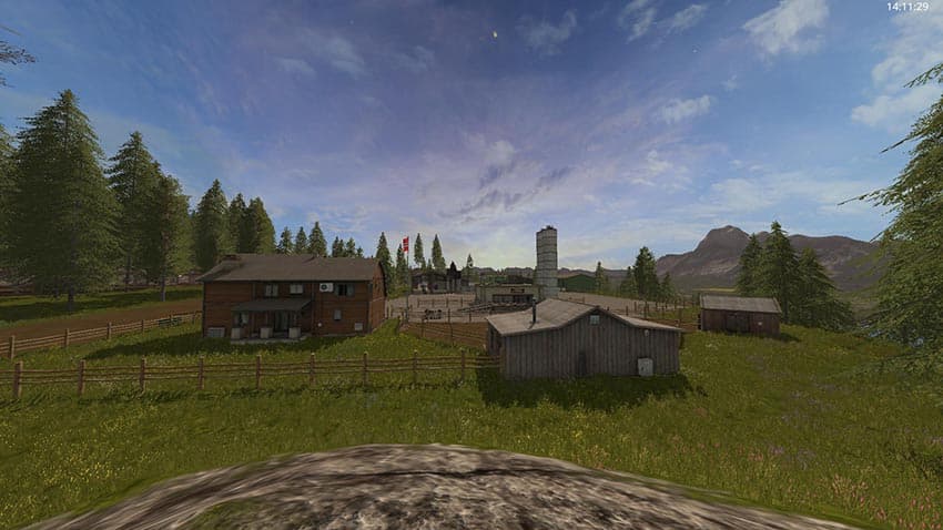 Norwegian Forest 3
