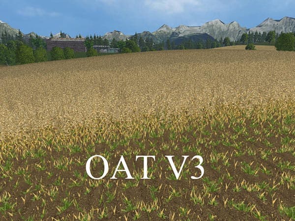 OAT TEXTURE [SP] 3