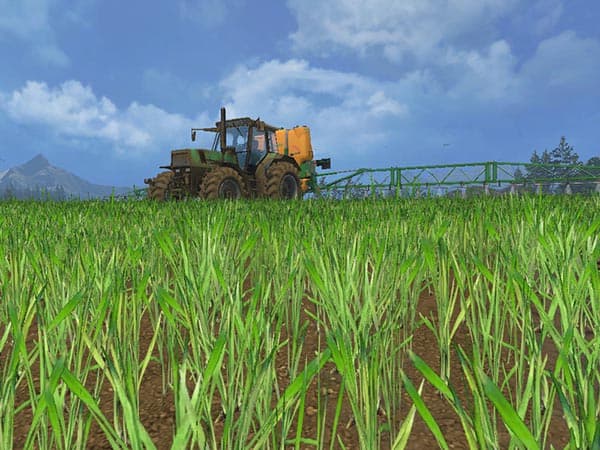 OAT TEXTURE [SP] 3