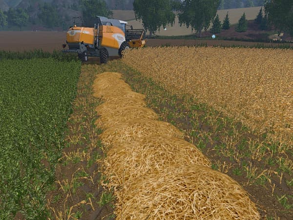 OAT TEXTURE [SP] 2