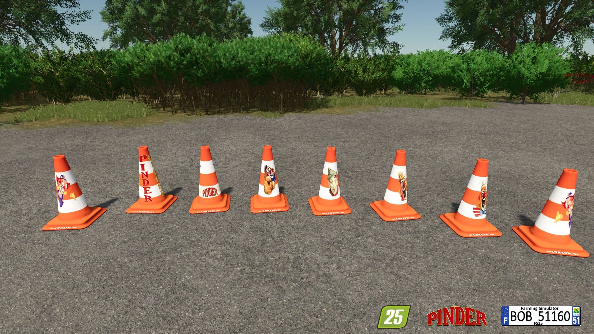 PINDER construction cone 5