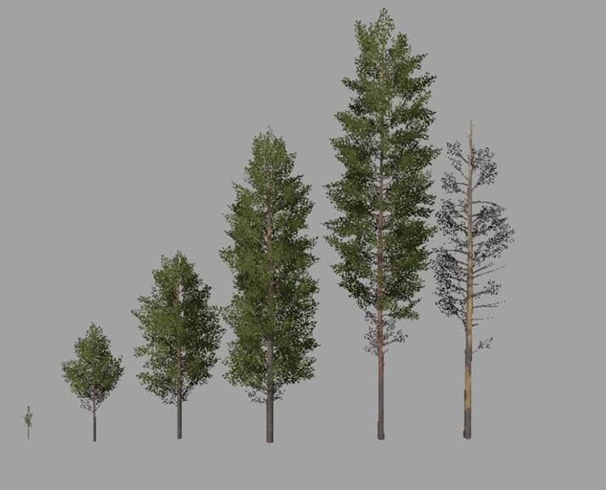 Pack Tree [SP] 3