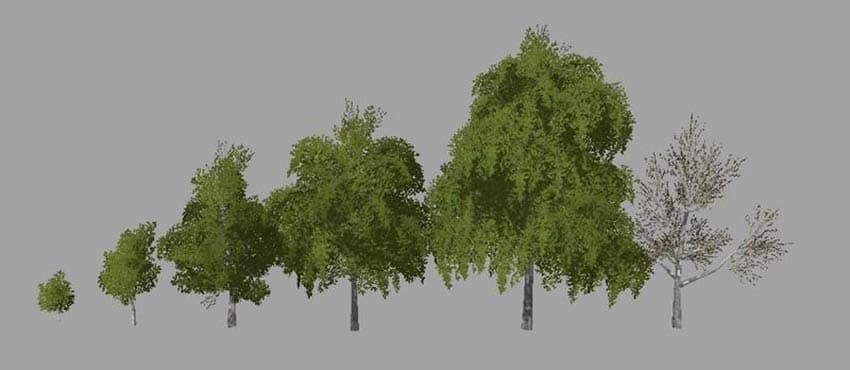 Pack Tree [SP] 2