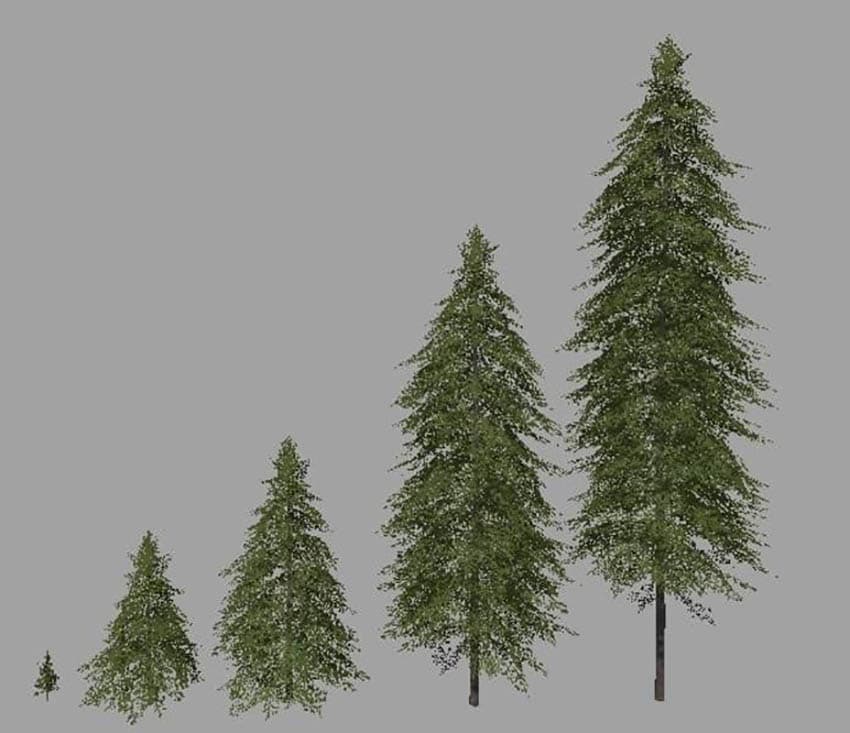 Pack Tree [SP]