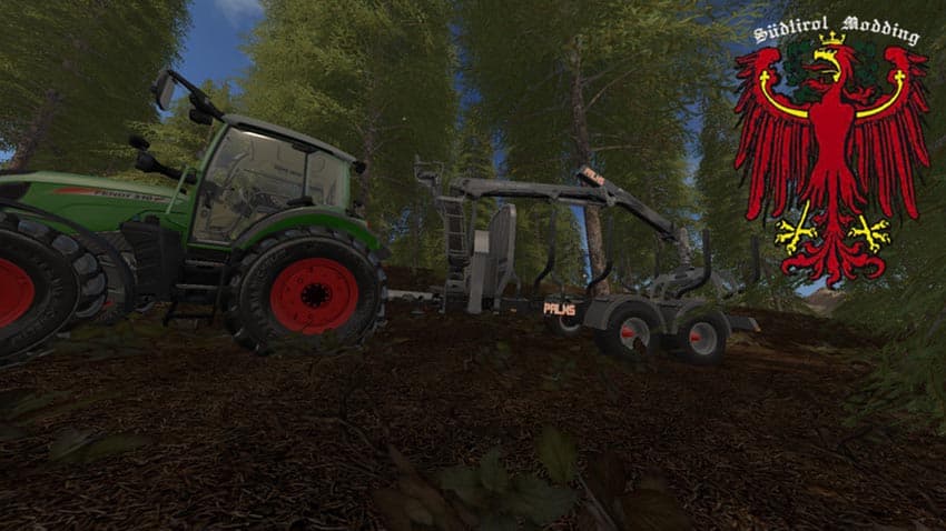 Palms H13D [SP] 2