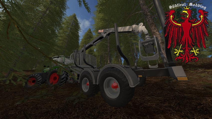 Palms H13D [SP]
