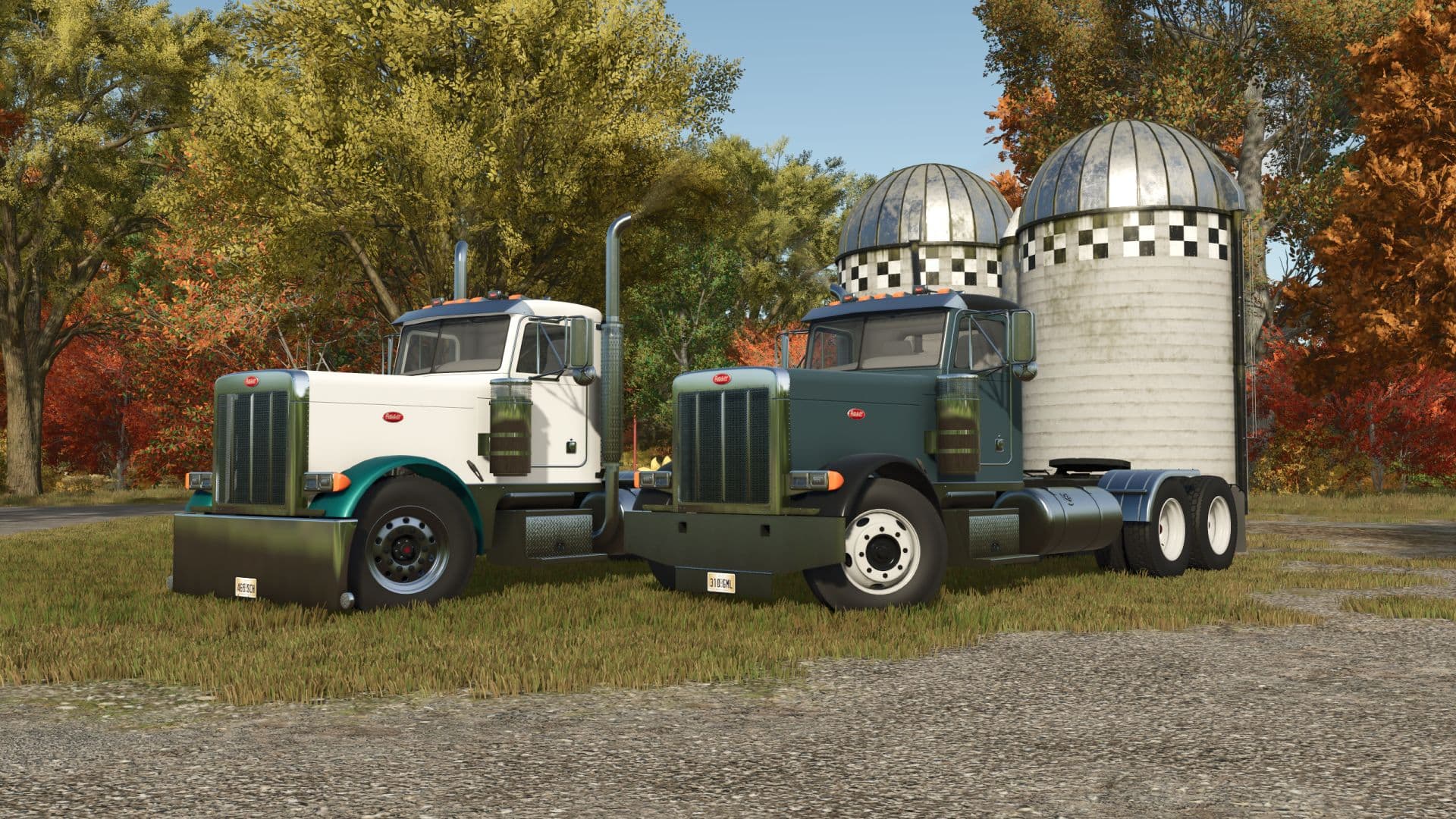 Peterbilt 379 6
