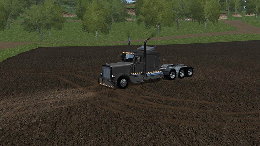 Peterbilt 389 HH 3