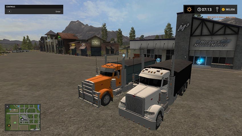 Peterbilt 389 grain truck 3